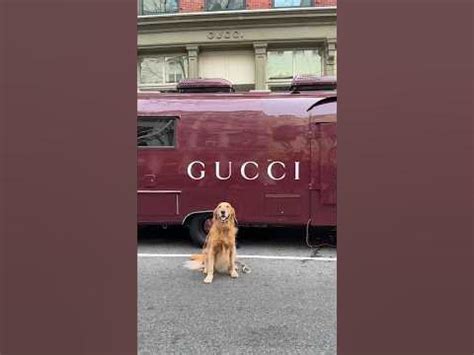 sfilata gucci new york|Gucci airstream nyc.